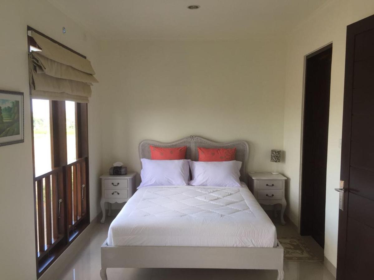 Ocean Dream Pademaya سانور المظهر الخارجي الصورة