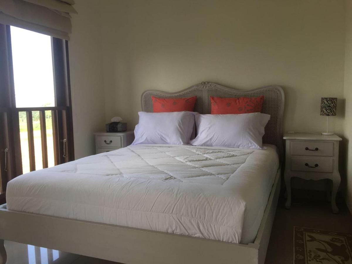 Ocean Dream Pademaya سانور المظهر الخارجي الصورة